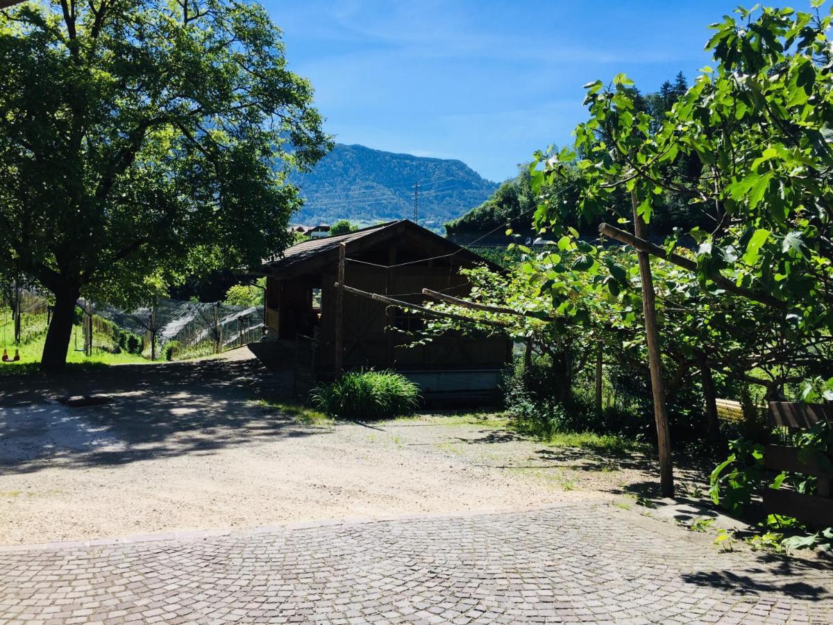 Tannerhof Bed & Breakfast Caines Екстериор снимка
