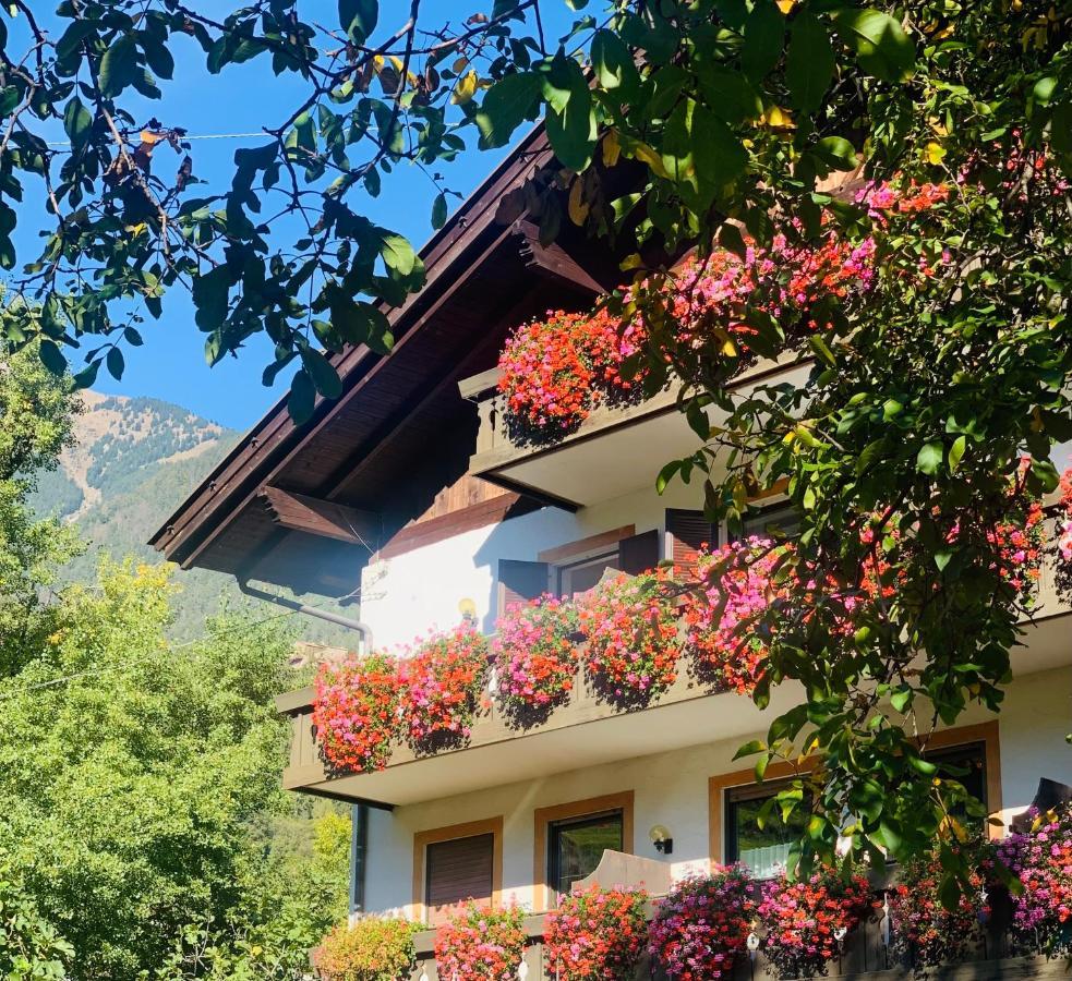 Tannerhof Bed & Breakfast Caines Екстериор снимка