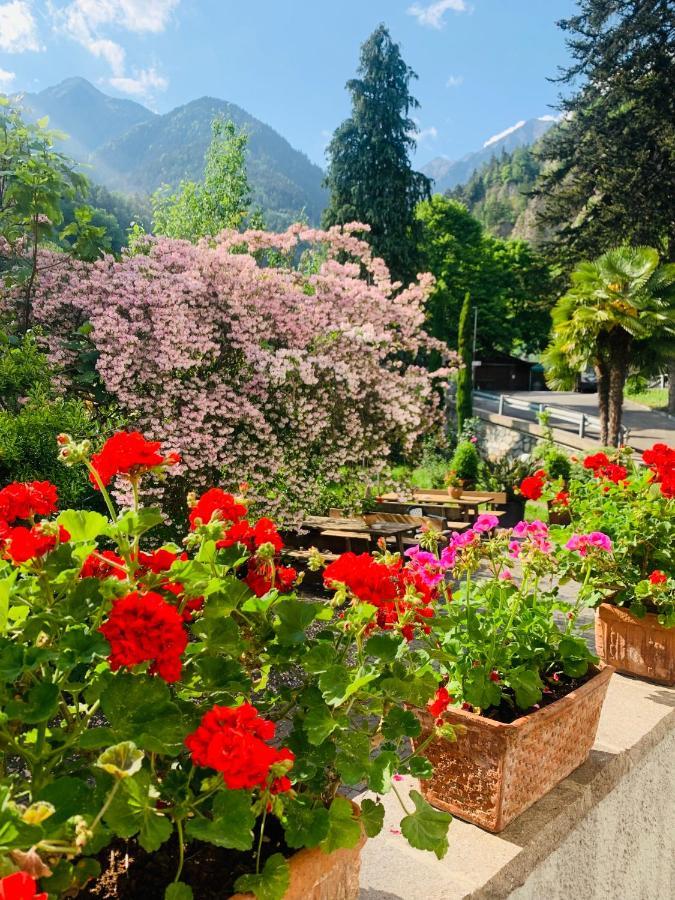 Tannerhof Bed & Breakfast Caines Екстериор снимка